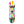 Color Rays Complete Skateboard